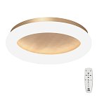 Потолочный светильник Vitaluce V2538DT-8/1PL