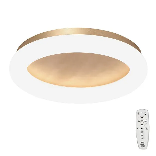 Потолочный светильник Vitaluce V2538DT-8/1PL