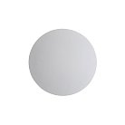 Светильник настенный ST LUCE SL457.511.01 AUREO