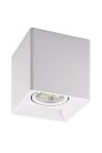 Накладной светильник Denkirs DK3030-WH DK3020WW Soro