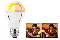 Лампа светодиодная Paulmann 28225 11W 2000 - 3000K
