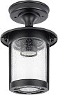 Потолочный светильник уличный Oasis Light 18205A Bl CORDOBA