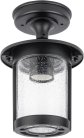 Потолочный светильник уличный Oasis Light 18205A Bl CORDOBA