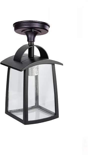 Потолочный светильник уличный Oasis Light 2736 05ACl Bl FRANKFURT I Потолочный светильник уличный Oasis Light 2736 05ACl Bl FRANKFURT I
