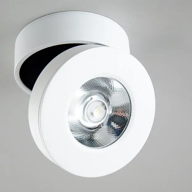 Накладной светильник Citilux CL558030N Стамп