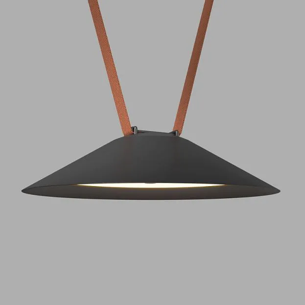 Светильник  для трека-ремня Denkirs DK5565-BK Belty, серия Flow