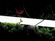 Гибкий неон SWG SWG-2360-24-WW-66 360