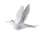 Настенный светильник ODEON LIGHT 4341/3WLA Colombella