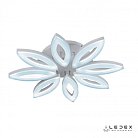 Потолочная люстра iLedex 6815/8 WH Lotus