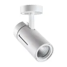 Спот Novotech 358598 DEP