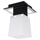 Потолочный светильник Lussole LSC-2507-01 Lente