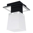 Потолочный светильник Lussole LSC-2507-01 Lente