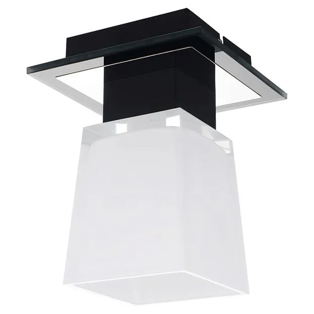 Потолочный светильник Lussole LSC-2507-01 Lente Потолочный светильник Lussole LSC-2507-01 Lente