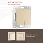 Выключатель двухклавишный, 10AX 250V Arte Milano 206.30-2.shampan am