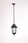 Уличный светильник подвесной Oasis Light 79805M Bl