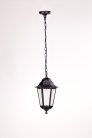 Уличный светильник подвесной Oasis Light 79805M Bl