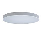Потолочный светильник Loft It 10002/48 White Axel