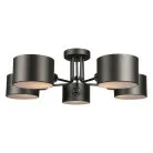 Люстра потолочная Omnilux OML-54507-05 Lisera