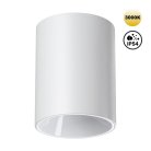 Светильник накладной влагозащищённый IP54 LED 15W Novotech 359420 RECTE