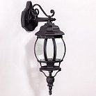 Настенный светильник уличный Oasis Light 83402S Bl