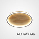 Потолочный светильник DOLAN D20 Трехцветный свет ImperiumLoft 223947-23 dolan01