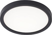 Потолочный светильник светодиодный Natali Kovaltseva LED LAMPS 81114/1C Plain 
