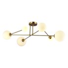 Потолочная люстра EVOLUCE SLE2211-302-06 FANTINI