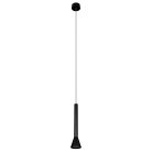 Подвесной светильник LOFT IT 10337/250 Black Pipe