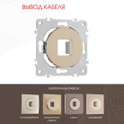 Вывод кабеля Arte Milano 202.49-1.shampan am