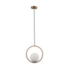 Подвесной светильник Loft It LOFT2600-A Glob