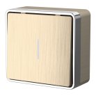 Выключатель одноклавишный с подсветкой Werkel W5010110 Gallant (шампань рифленый) a051042