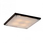 Светильник настенно-потолочный Citilux CL938541