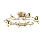 Потолочная люстра Aployt APL.774.07.54 Delfin