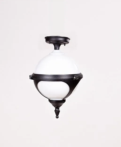 Потолочный светильник уличный Oasis Light 88405A Bl VENA