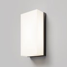 Настенный светильник (бра) Outdoor Maytoni O454WL-L10GF3K Badd