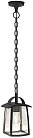 Уличный светильник подвесной Oasis Light 2736 05Cl Bl FRANKFURT I