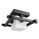 Потолочный светильник Arte Lamp A8252PL-1CK Woods