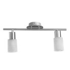 Потолочный светильник Arte Lamp A4510PL-2SS CAVALLETTA