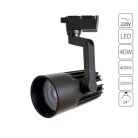 Светильник Потолочный Arte Lamp A1640PL-1BK WALES