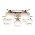 Люстра потолочная Omnilux OML-50517-05 Fronteira