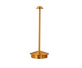 Автономная настольная лампа Kink Light 07208-T,20 Дамари