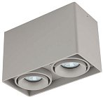 Потолочный светильник Donolux DL18611/02WW-SQ Silver Grey DL18611