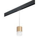 Трековый светильник Lightstar PRORP349081 RULLO