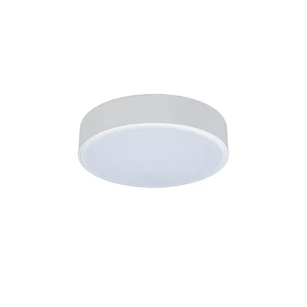 Потолочный светильник Loft IT 10002/12 white Axel