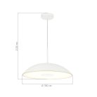 Светильник подвесной ST-Luce SL6128.503.01 LID