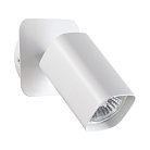 Накладной светильник NOVOTECH 370553 GUSTO