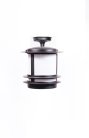 Потолочный светильник уличный Oasis Light 68305A Bl opal TOKIO