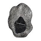 Настенный светильник Odeon light 5461/12WL CORALLA