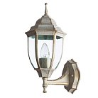 Уличный Светильник Arte Lamp A3151AL-1WG PEGASUS