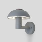 Настенный светильник уличный Oasis Light W2251S GR